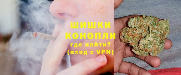 прущие грибы Саяногорск