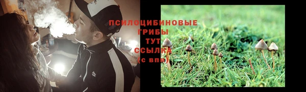 спайс Сатка