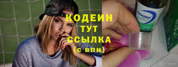 прущие грибы Саяногорск