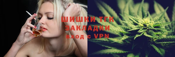 прущие грибы Саяногорск