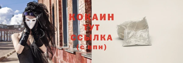 прущие грибы Саяногорск