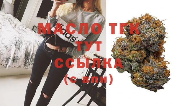 прущие грибы Саяногорск
