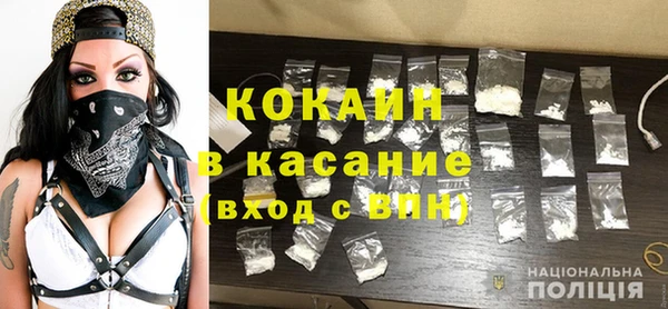 прущие грибы Саяногорск