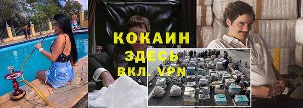 прущие грибы Саяногорск