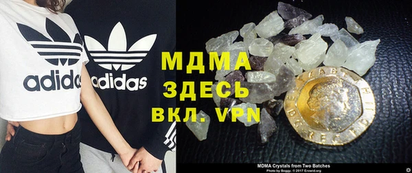 прущие грибы Саяногорск