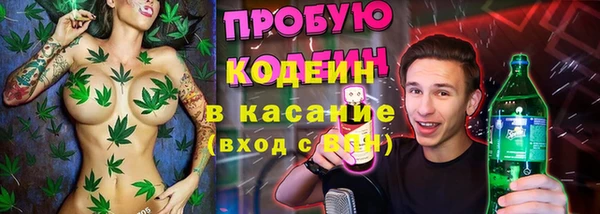 прущие грибы Саяногорск