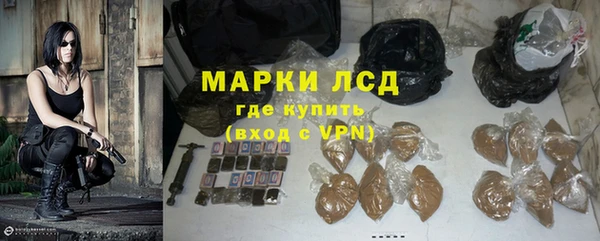 прущие грибы Саяногорск