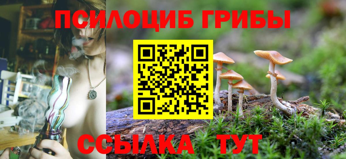 купить наркоту  Псилоцибиновые грибы мухоморы  Вход с VPN  Тула  Псилоцибиновые грибы Cubensis 